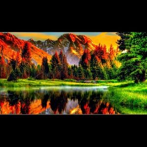 Meet your Posher, Monika